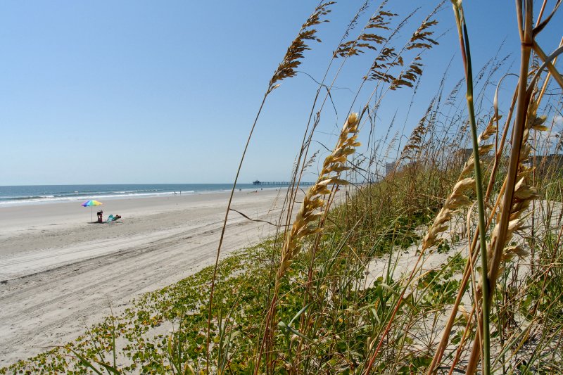 beach photo at Crazy Crab