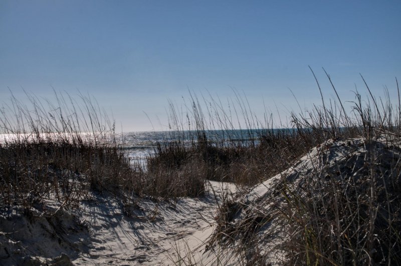 beach photo at Terrapin Cove